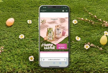 landing-album-flyer-pasqua